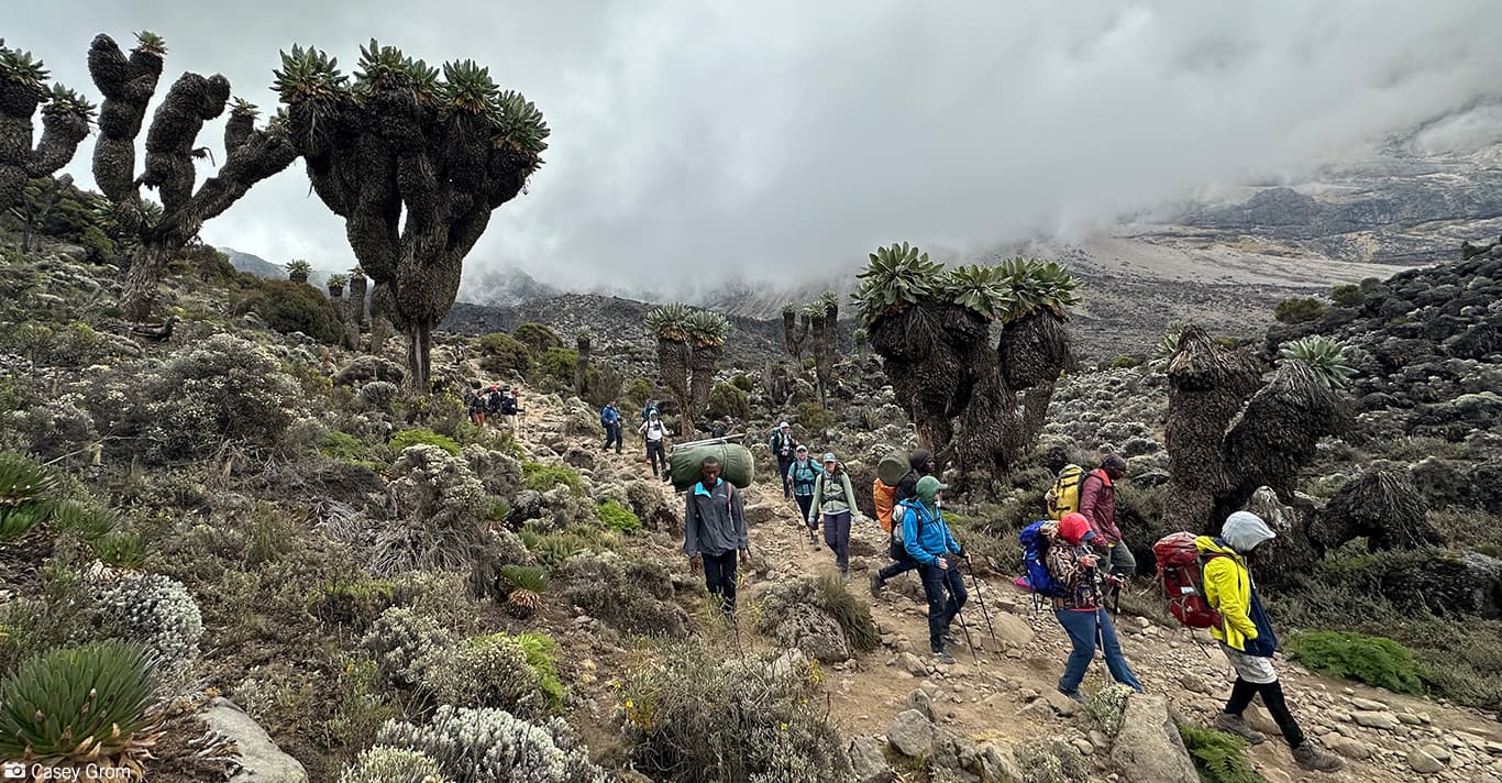 Climb Kilimanjaro on the Best Routes with Local Knowledge
