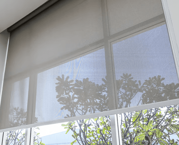 Stylish curtains bondi to Refresh Your Coastal Home