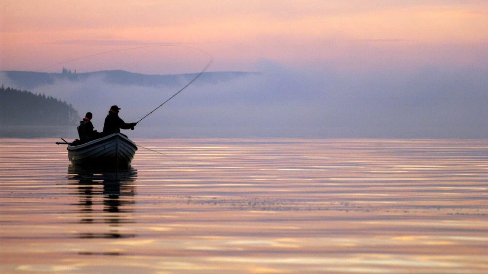 Deep Sea Adventures with Sea Fishing Trips Northern Ireland