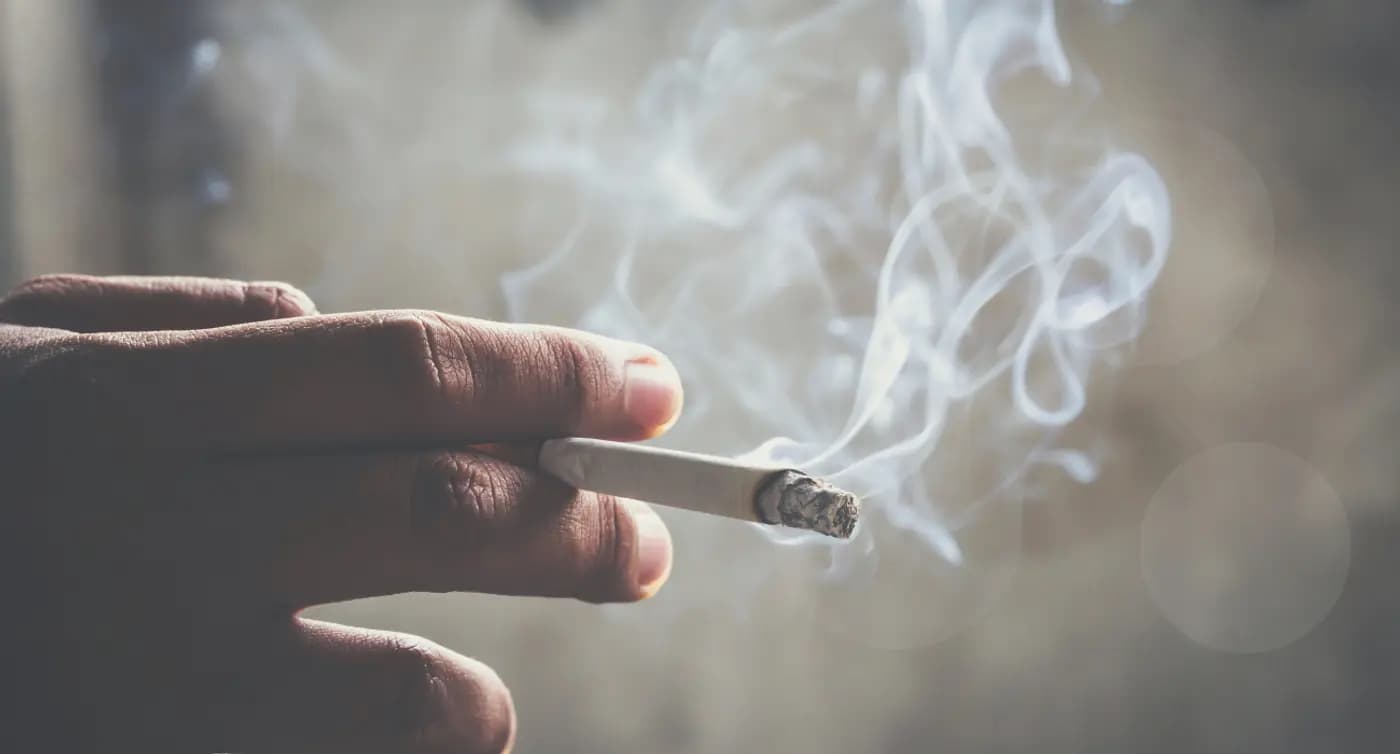 Chapman Cigarettes Buy – Easy International Purchase at Cigarette Store