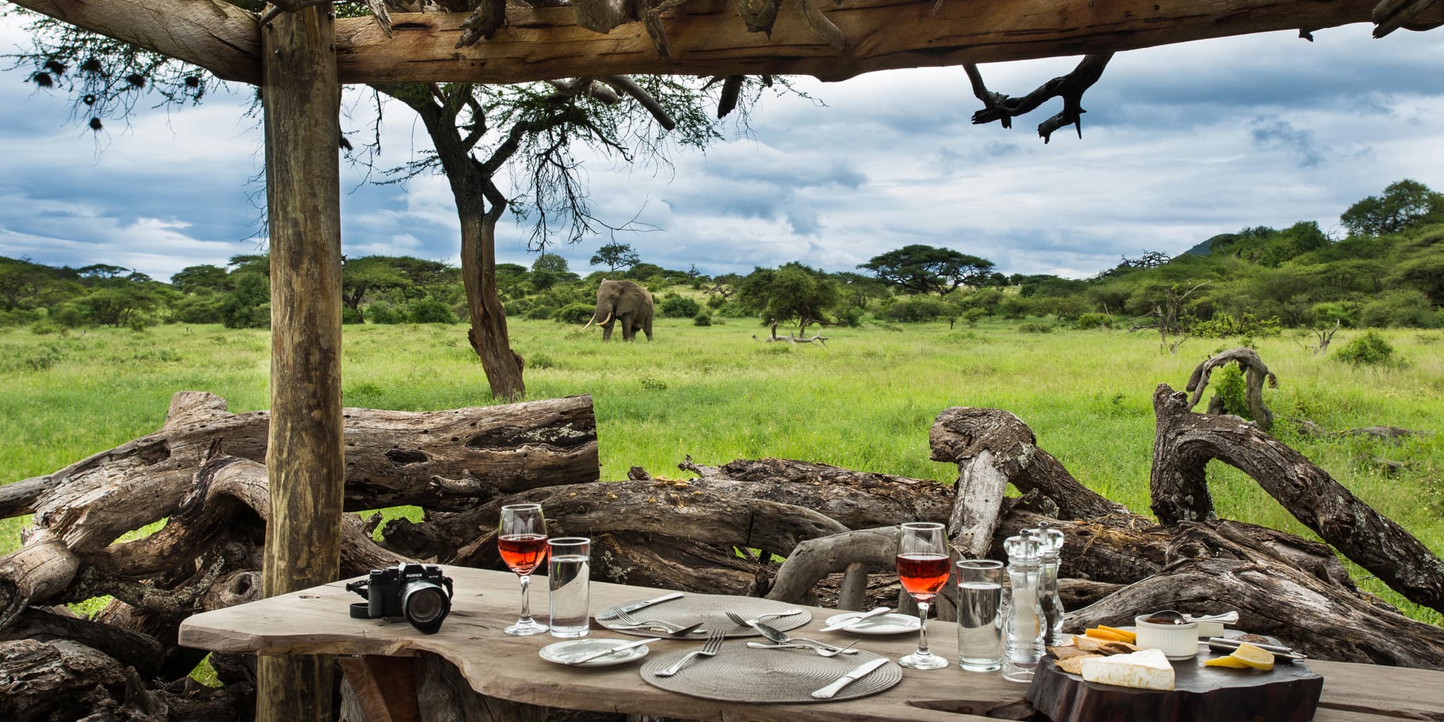 Authentic African Safari Experiences Across Top Wildlife Destinations