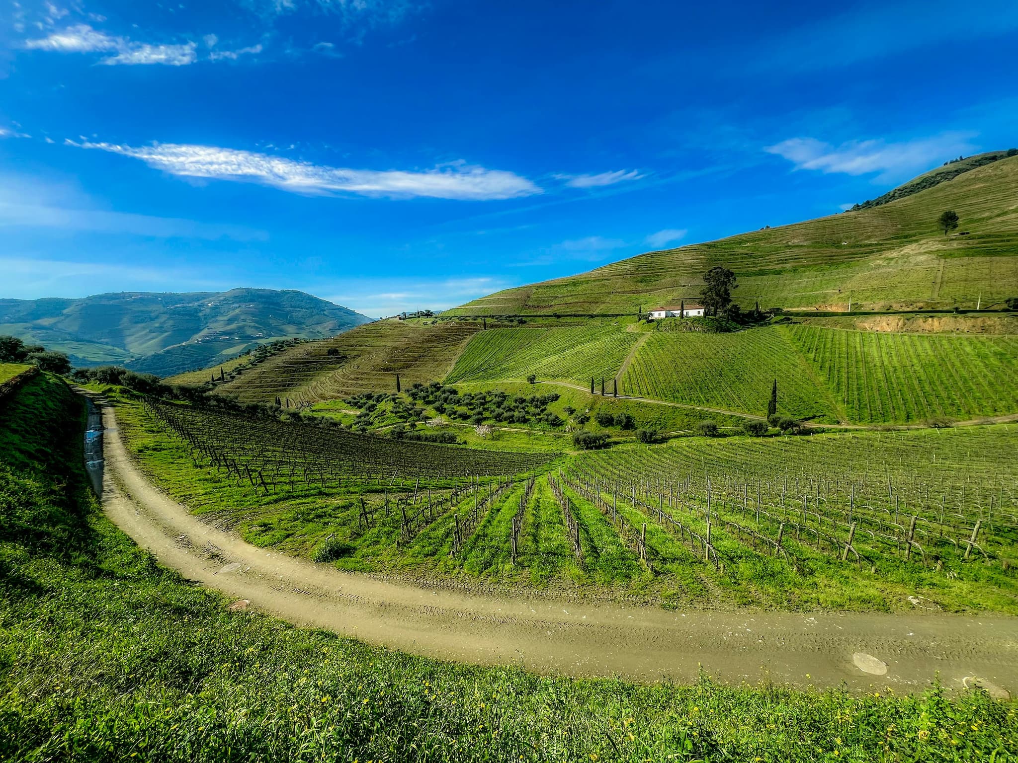 Best Things to Do in Clarksburg CA for Wine Lovers