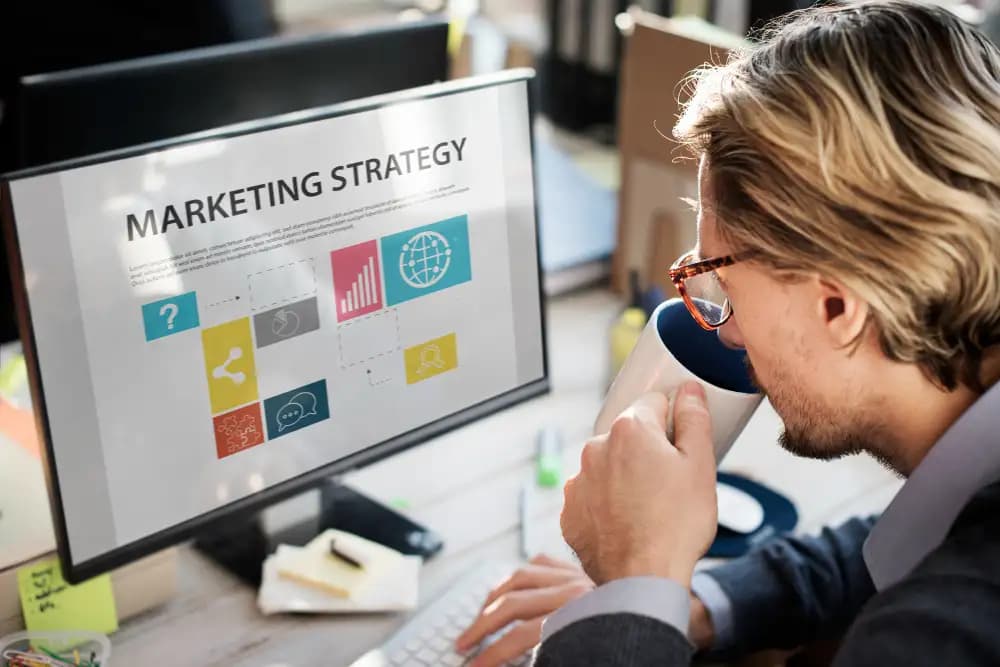 Seo Optimization Services