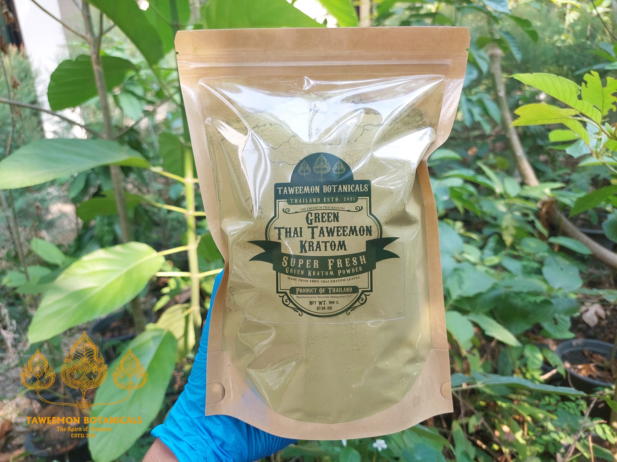 Trusted Sources to Buy Kratom Thailand Safely