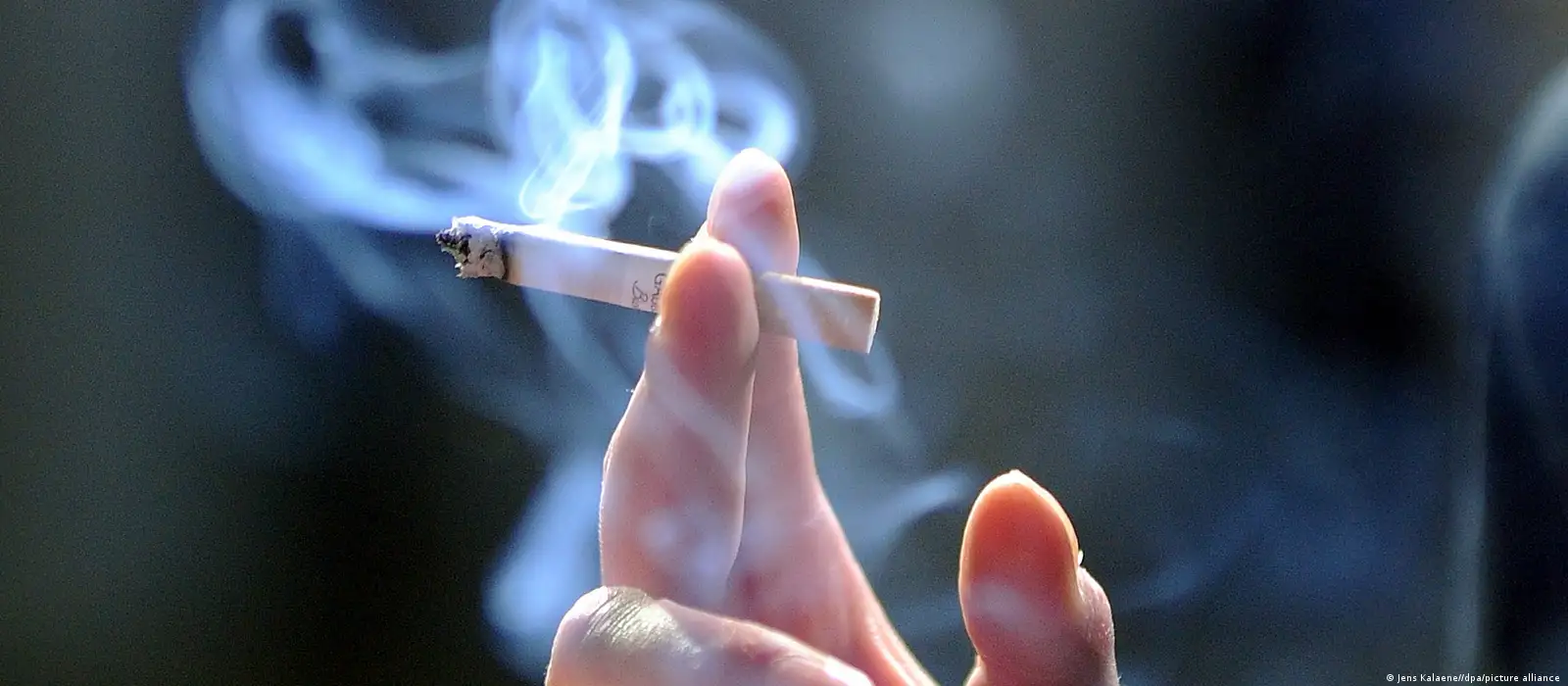 Native Smokes: Providing Canadians With Trusted First Nations Tobacco Alternatives