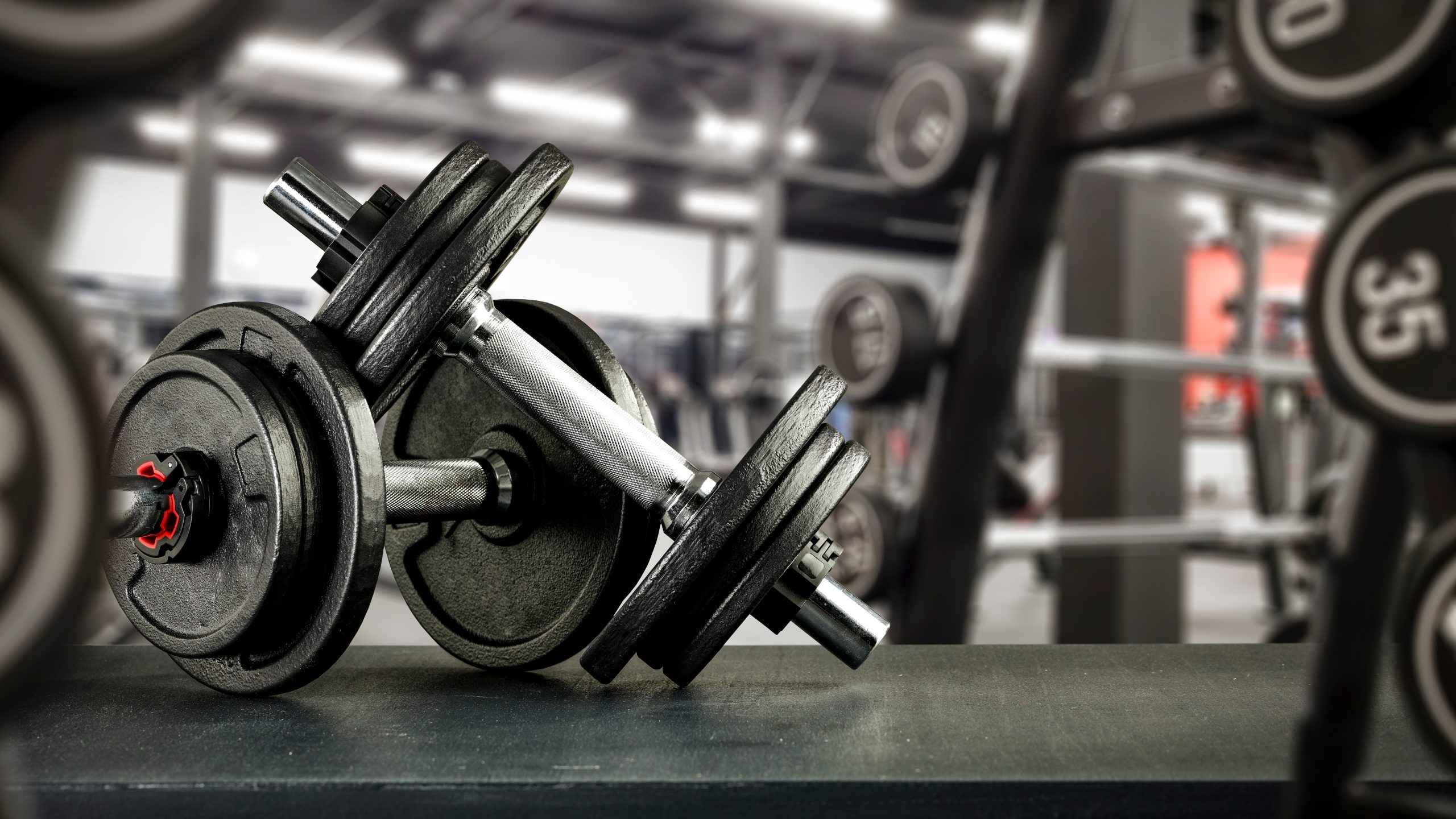 Best fitness bench – Designed for Comfort, Strength &amp; Safety | YINUO SPORT