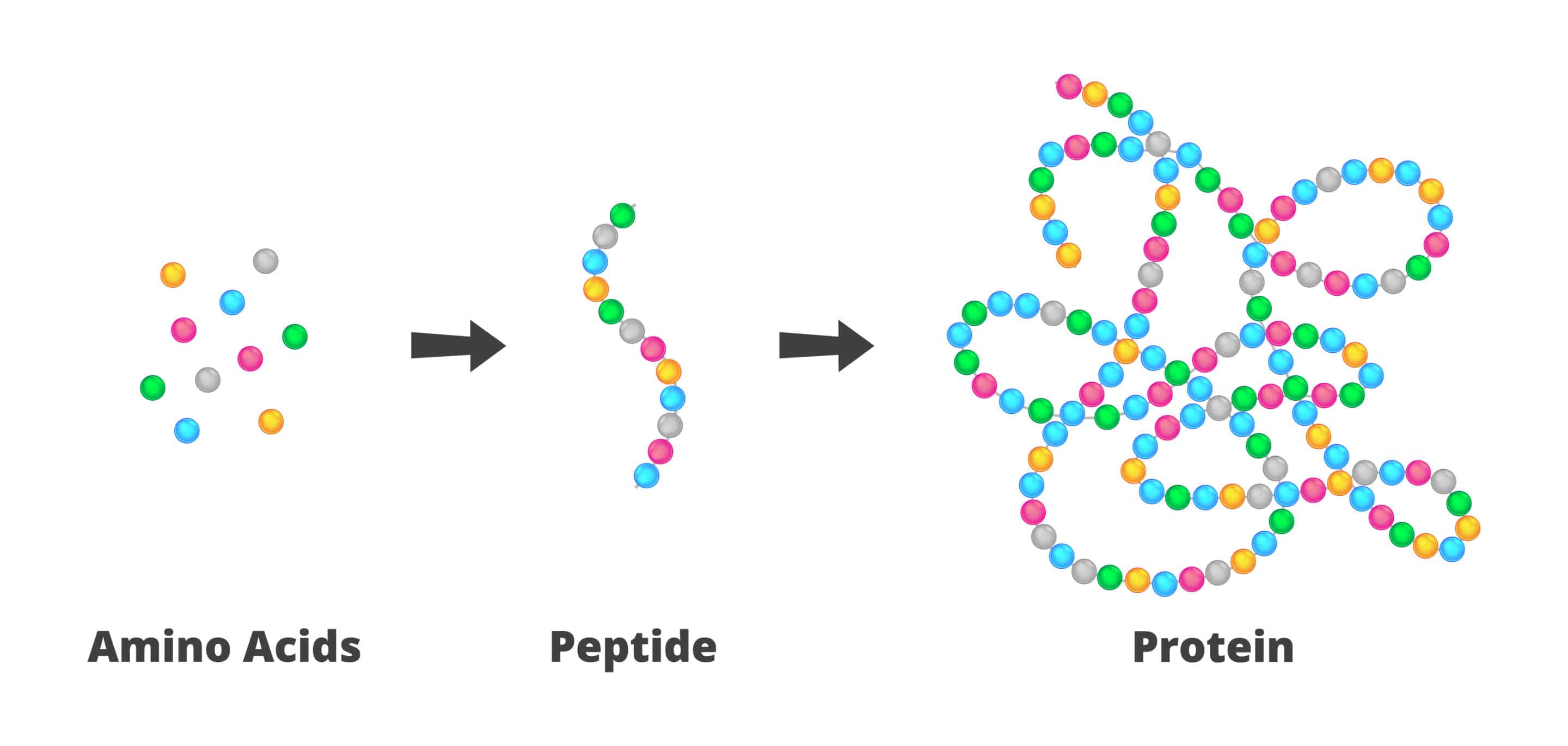 Peptides for Reliable Laboratory Results