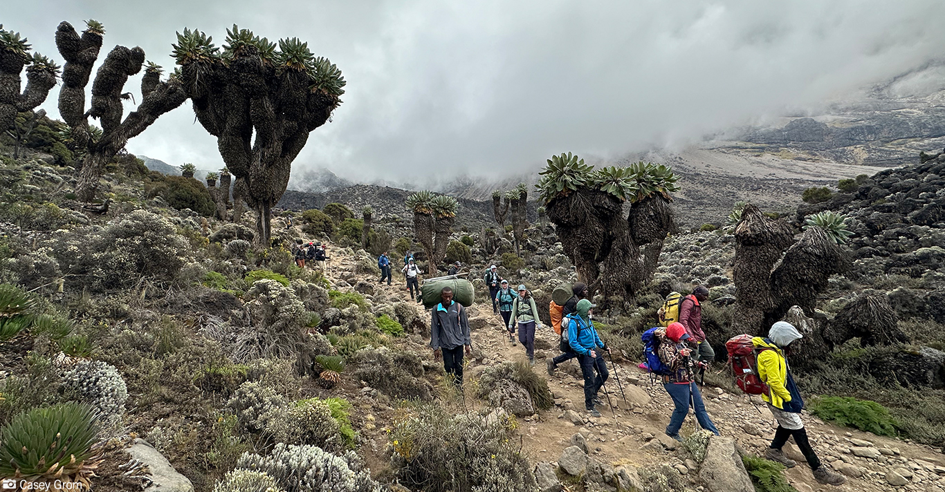 Climb Kilimanjaro on the Best Routes with Local Knowledge