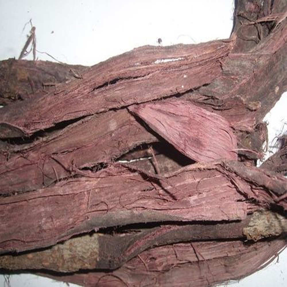Sustainable Dyeing with Mimosa Hostilis Root Bark