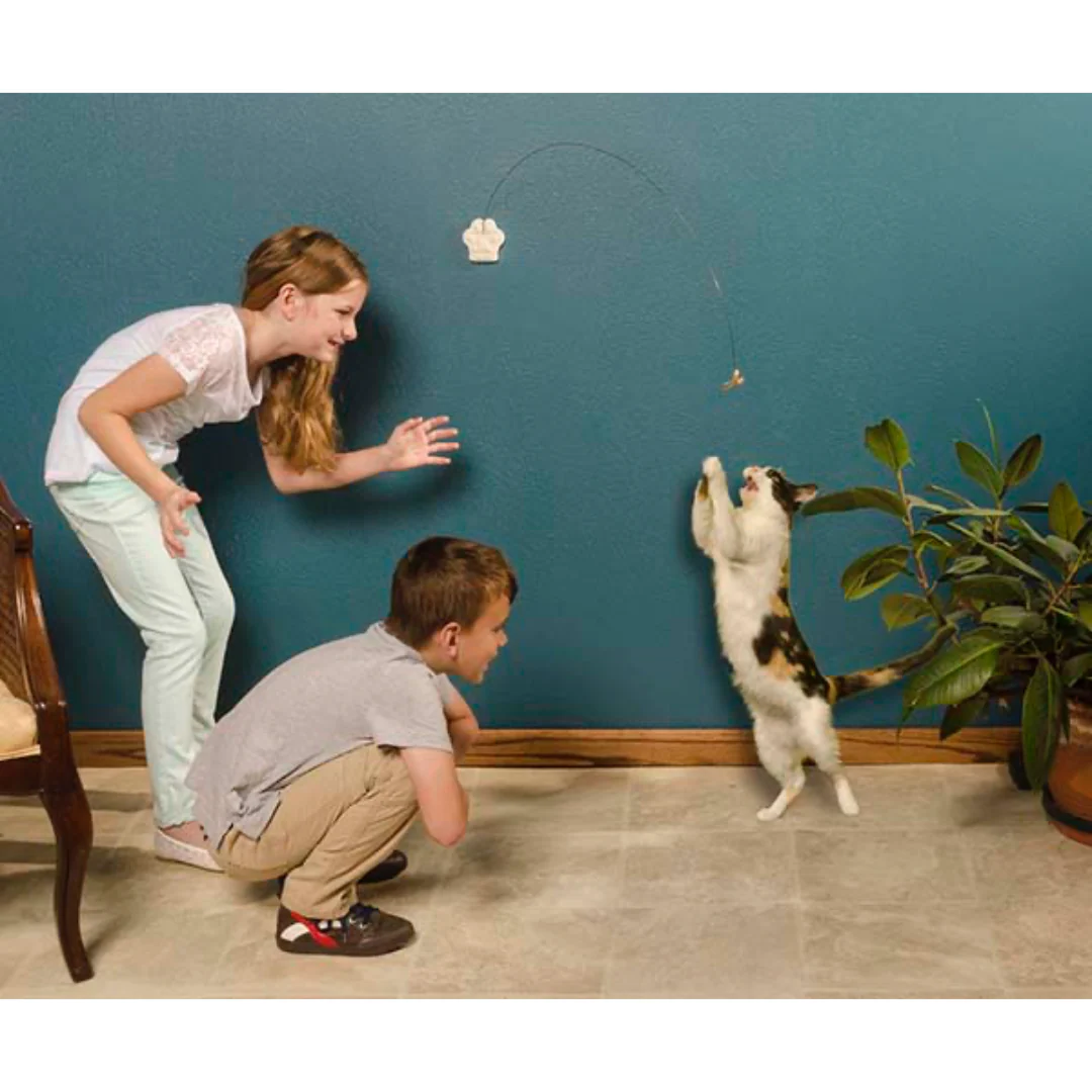 Fur ball Catshoponline – Fun and Fuzzy Toys for Endless Cat Playtime