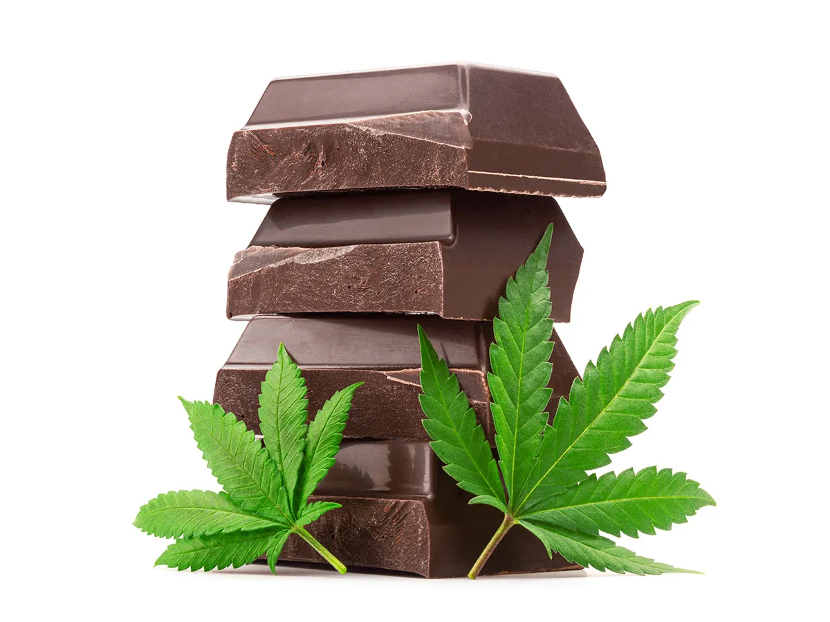 Chocolate Edibles 1000mg: Handcrafted for Consistent Results