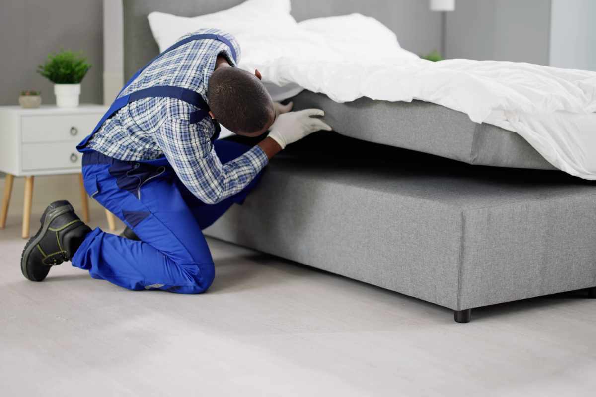 Mattress Cleaning Dubai – Safe, Fast, and Effective Results