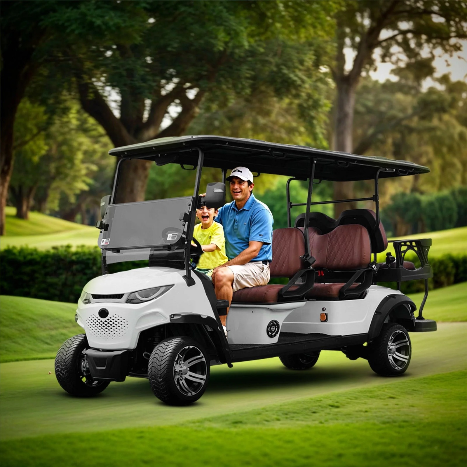 Find Your Perfect Golf Cart for Sale: A Comprehensive Guide
