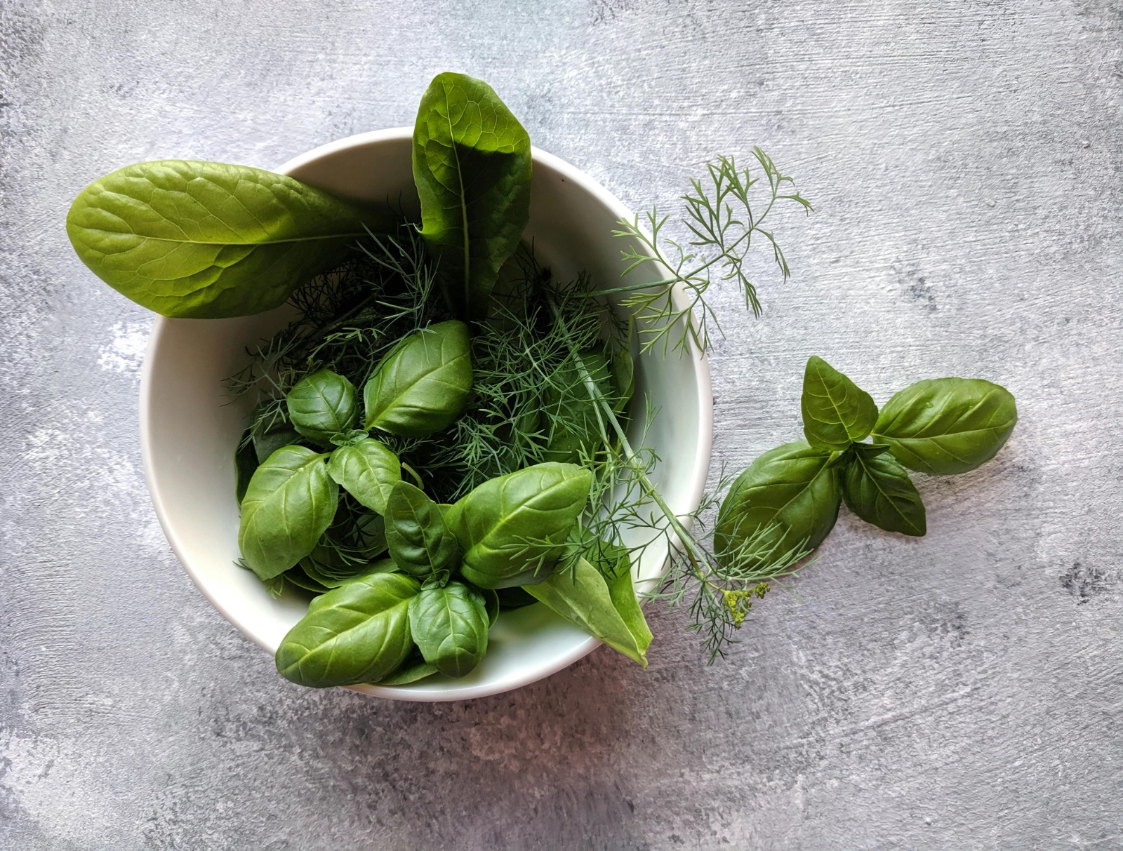 Advanced Ayurveda Online Courses for Career Growth