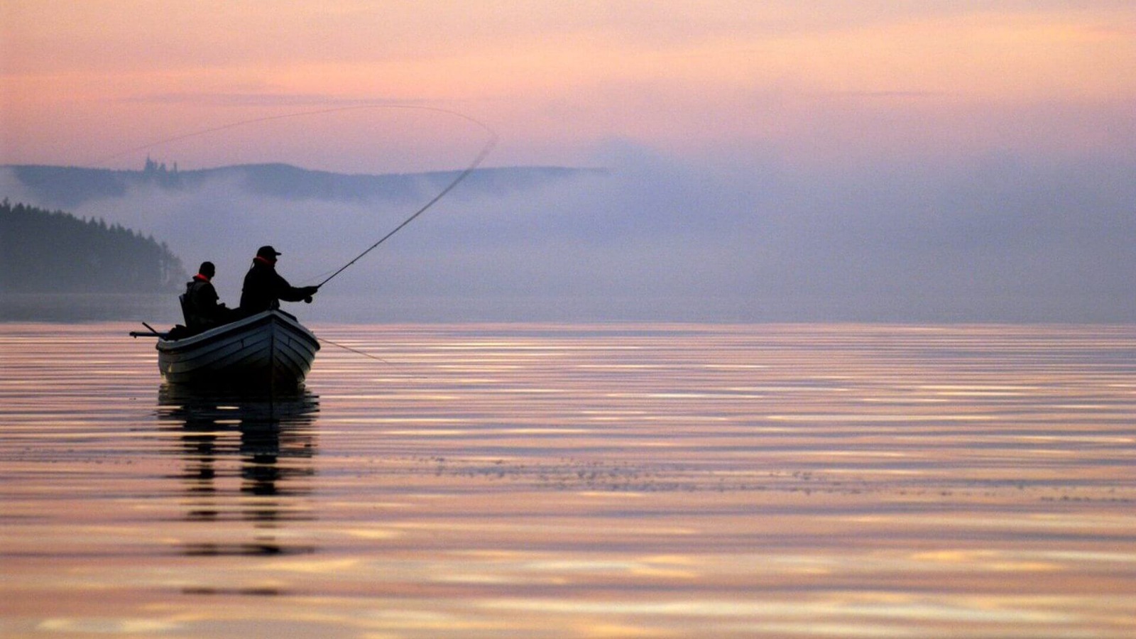 Deep Sea Adventures with Sea Fishing Trips Northern Ireland