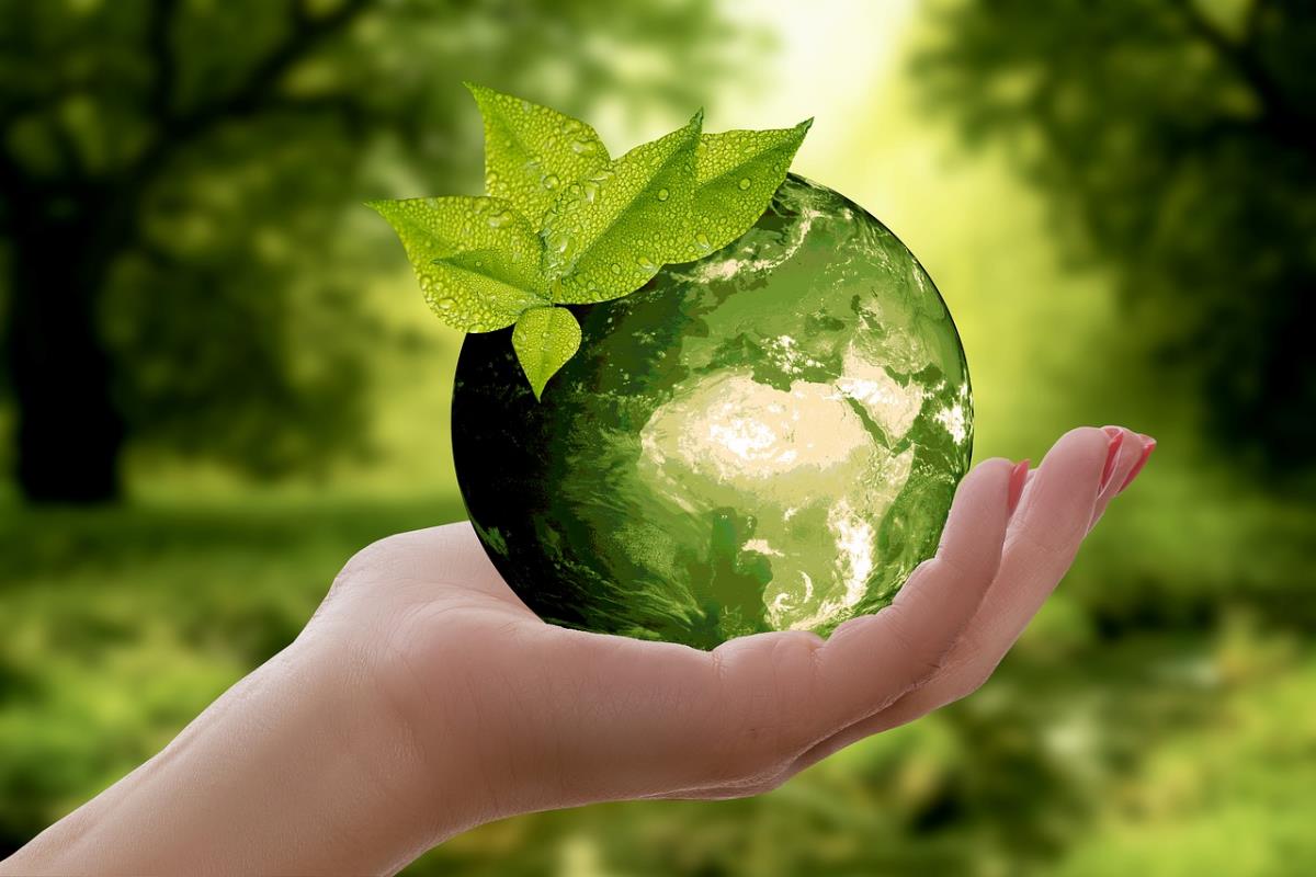Sustainable Cooling Solutions for Businesses