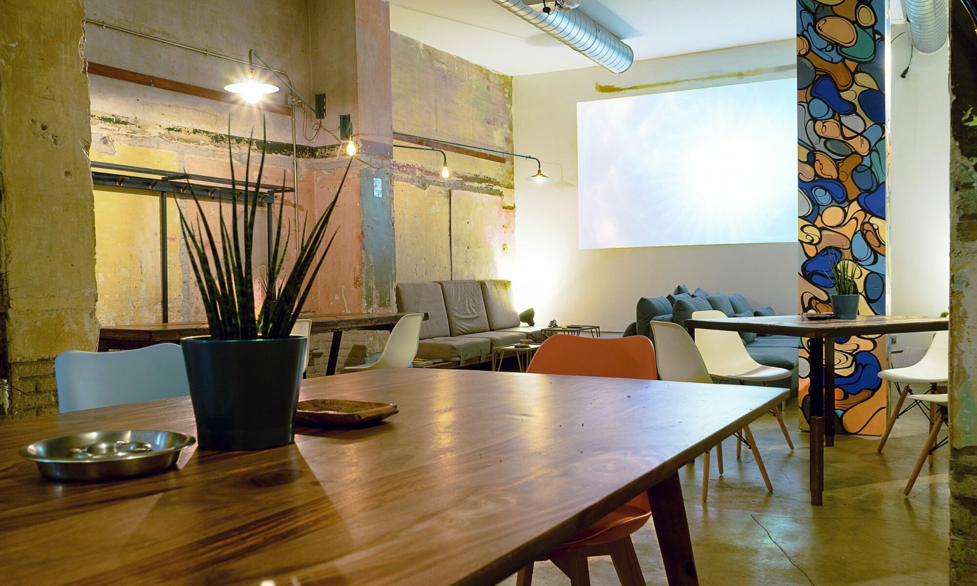 Premium Products You Can Expect from a Cannabis Shop Madrid