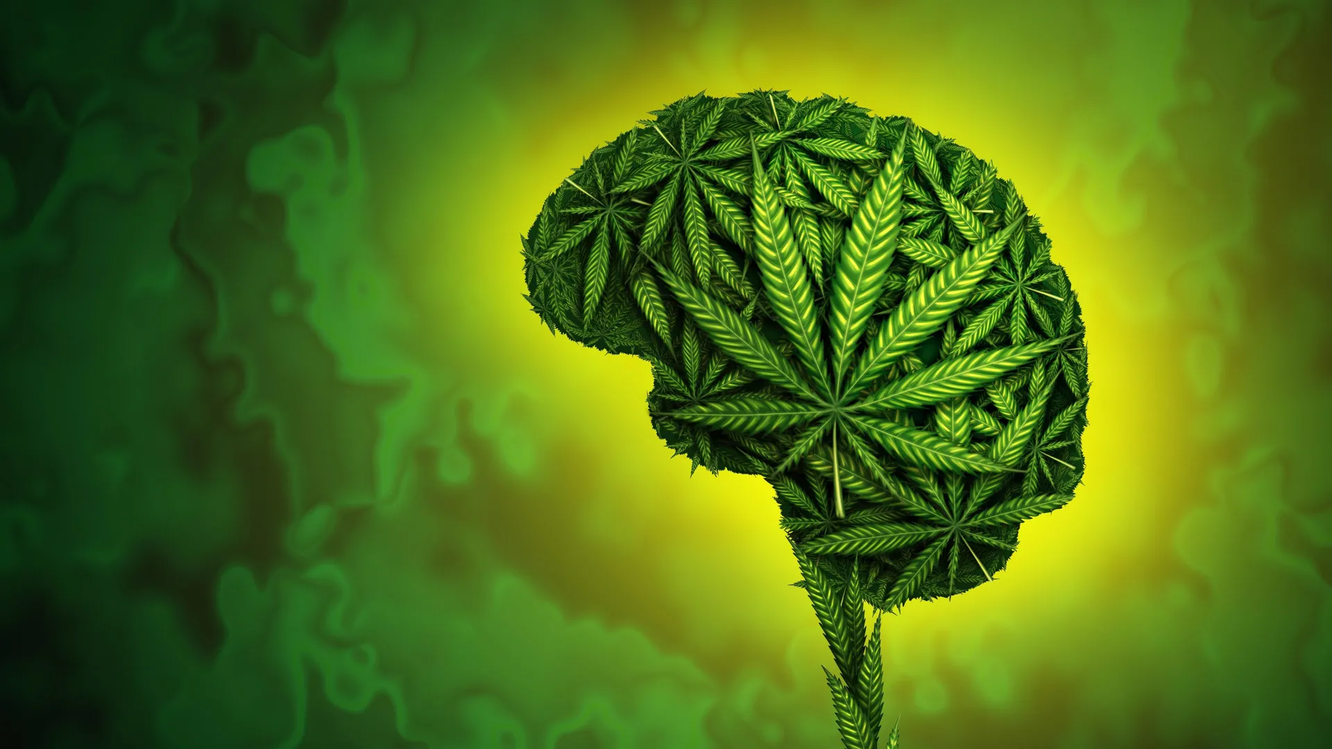 Bluetenbande – Cannabis Gemeinschaft mit offizieller Lizenz
