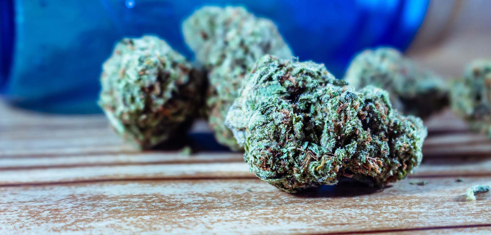 Bud Cargo: Canada’s Favourite Online Dispensary to Buy the mandarin cookies strain