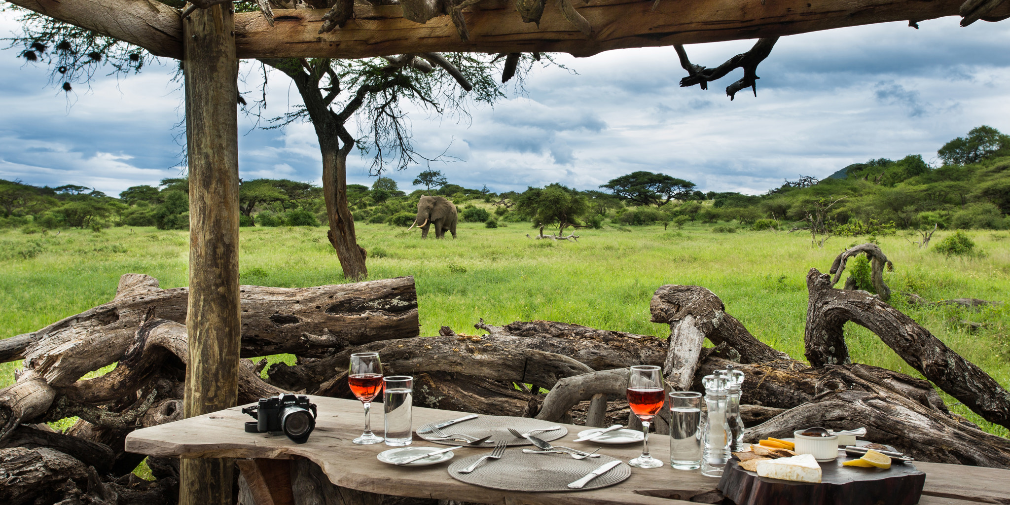 Authentic African Safari Experiences Across Top Wildlife Destinations