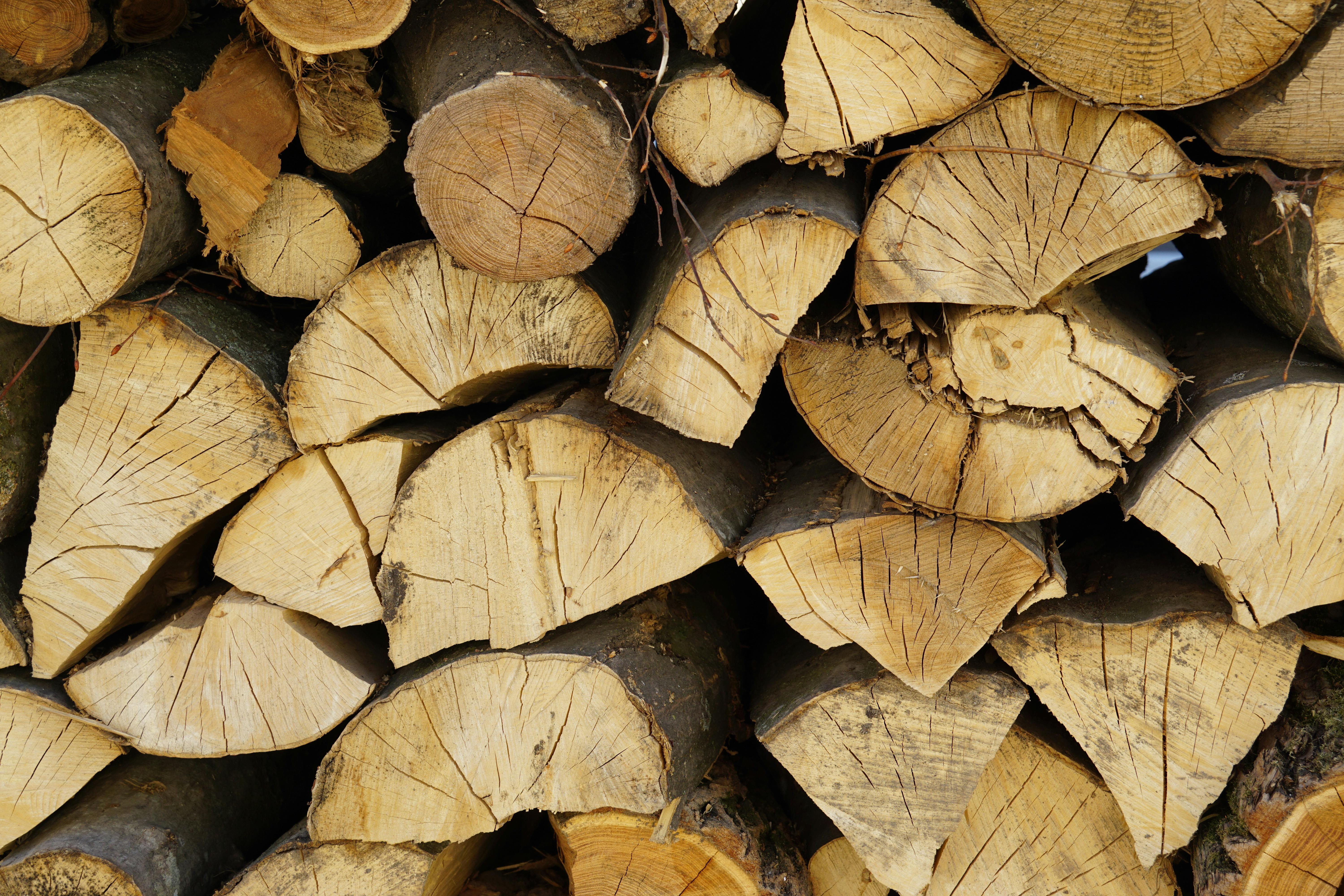 Firewood That Burns Longer and Produces Less Smoke