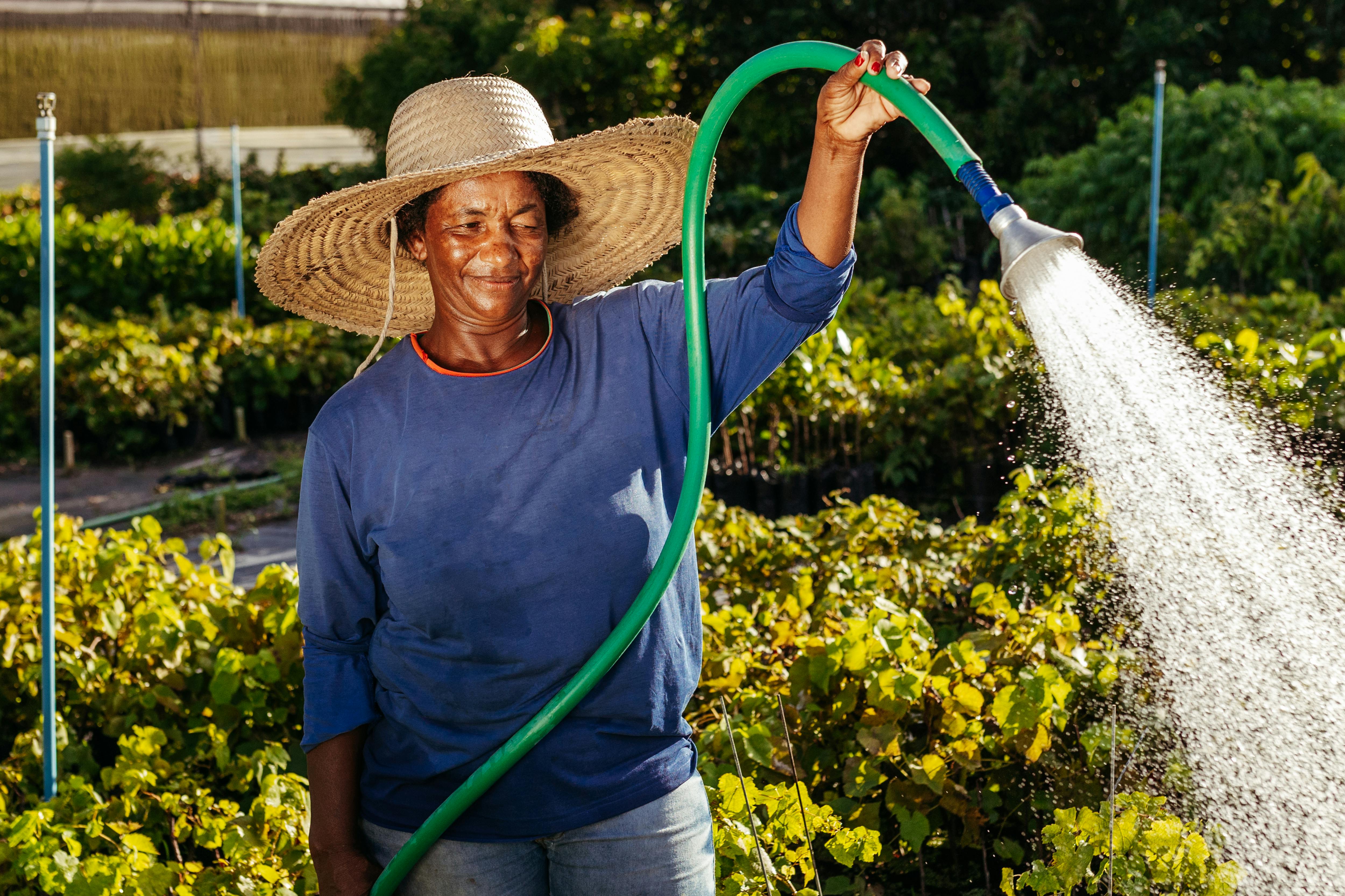 Professional Irrigation Services in Fort Worth, TX for Healthy Landscapes