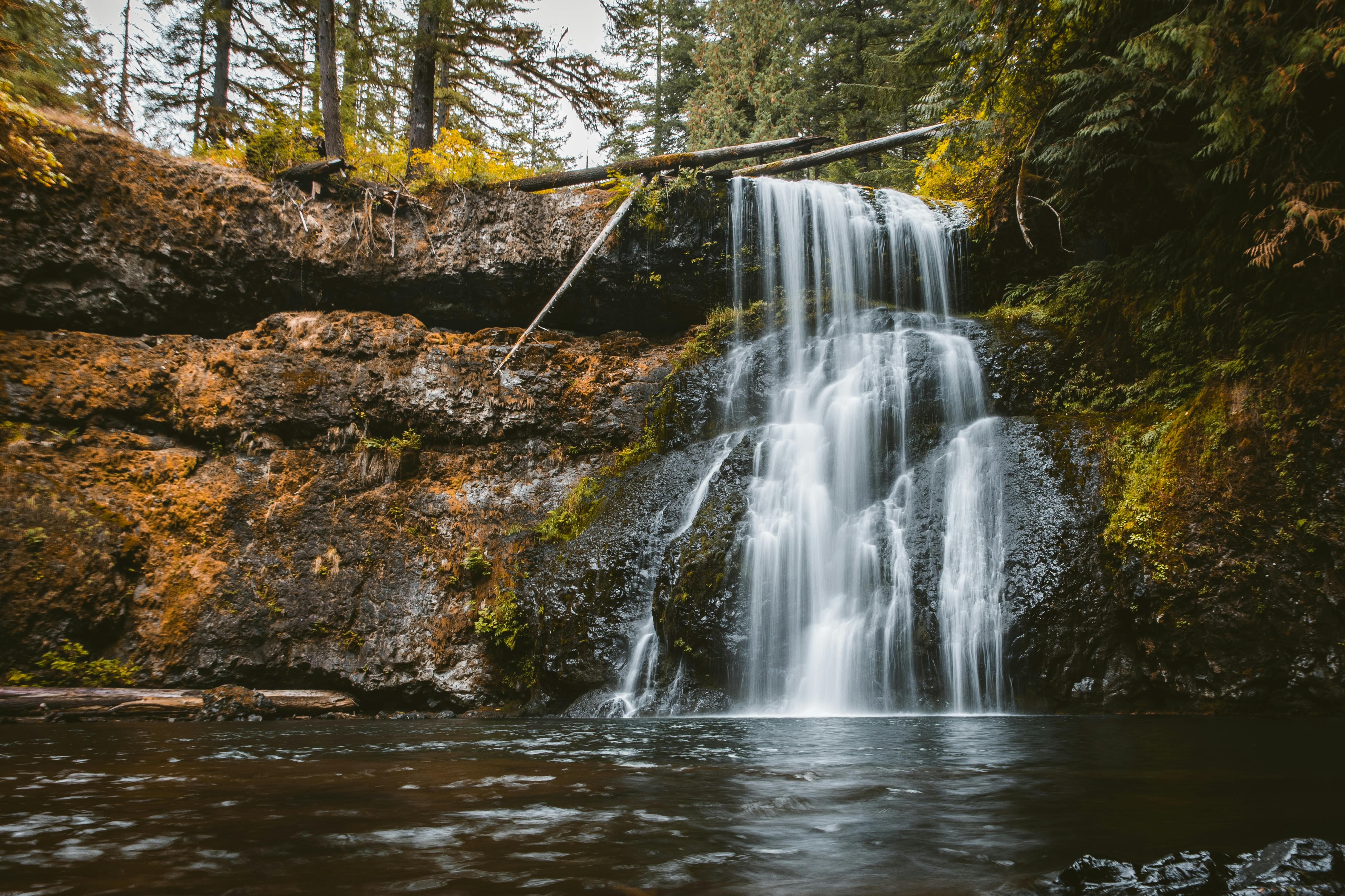 Exploring the Scenic Trails Around Multnomah Waterfall