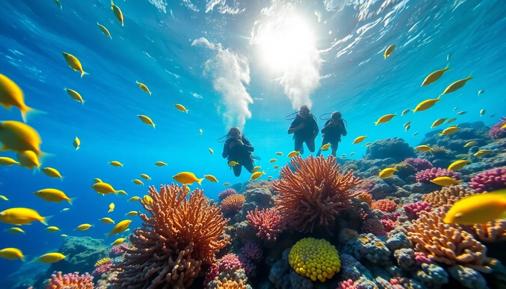 Experience snorkeling at https://egypt-snorkeling.com with stunning coral reefs and tropical fish.