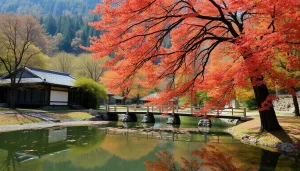 葉酸サプリのボトルが自然環境でハンドメイド感を引き立てている写真